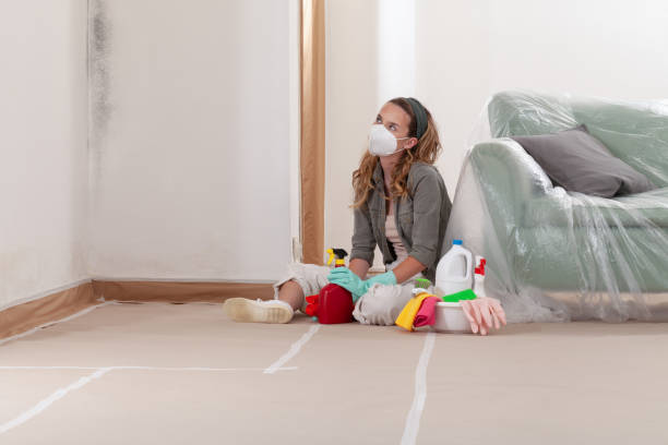 Reliable Crawl Space Mold Removal contractor in Antioch, TN by WQB Mold Removal